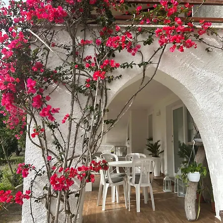 Le Bouganville * Santa Teresa Gallura